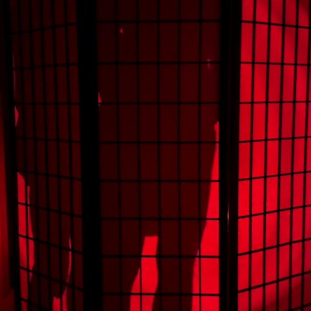 Christina Khalil Blowjob Sex Behind Opaque Wall Video Leaked